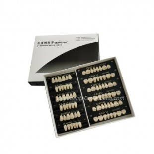 Image for Caiyu Teeth Full Set Shade A2