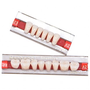 Image for Vital Posterior Teeth Lower Shade A2