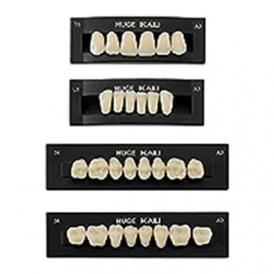 Image for R3 PIGEON FULL SET SINGLE