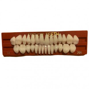 Image for V1 PIGEON FULL SET SINGLE